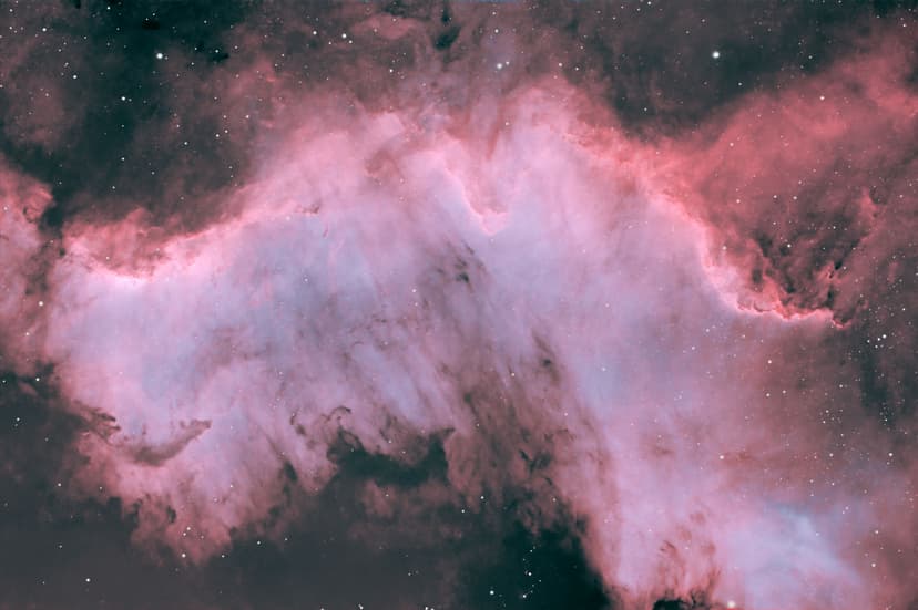 Image: cygnus-wall-1422-ho