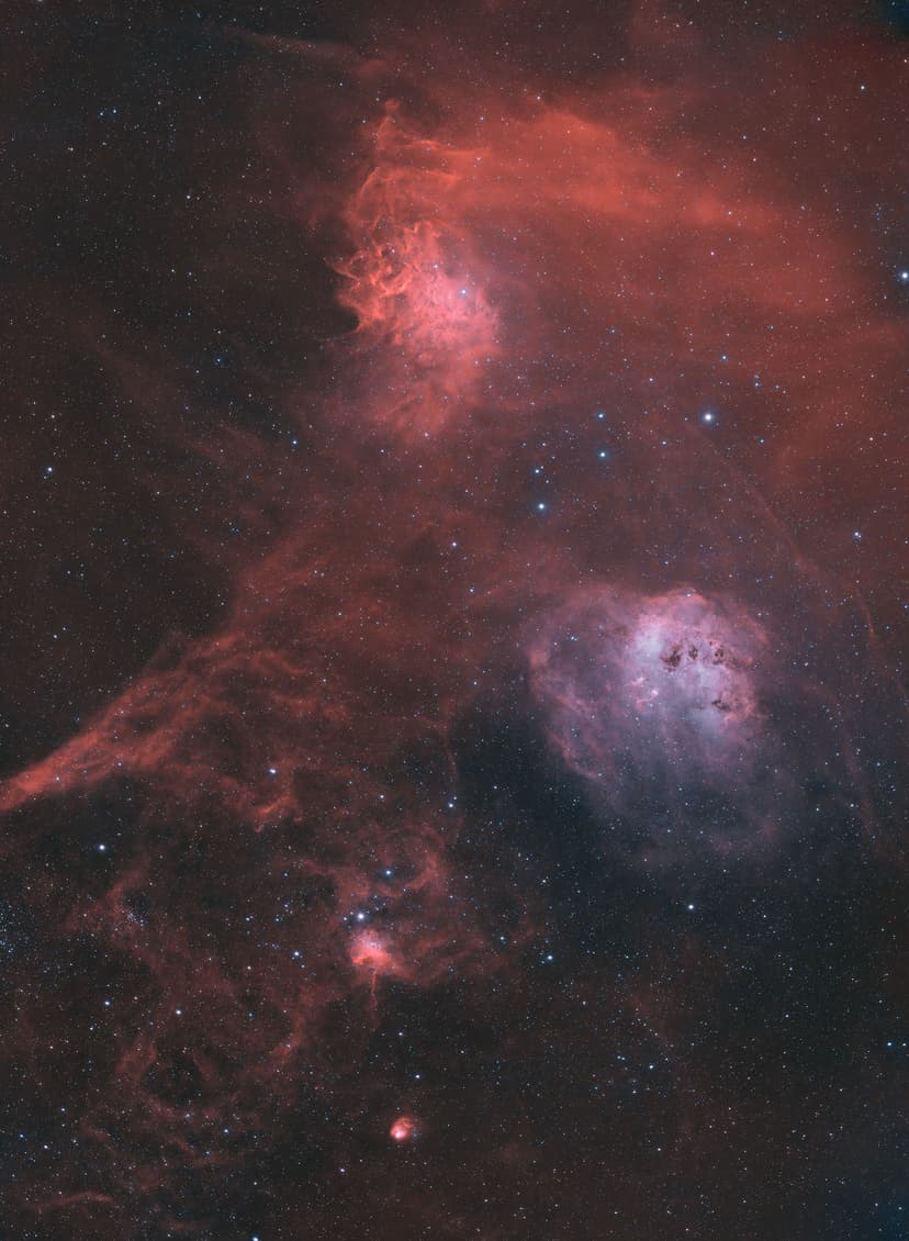 Image: flame-tadpoles-ho