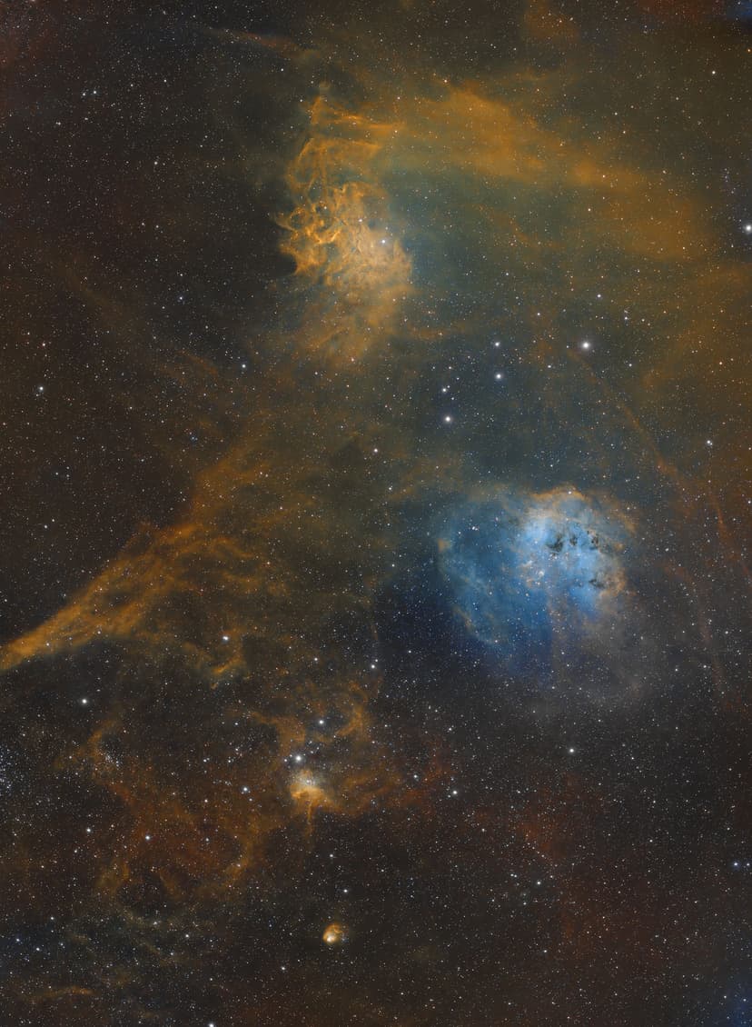 Image: flame-tadpoles-sho