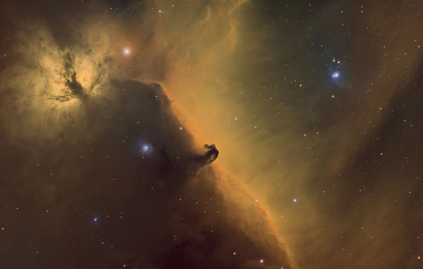 Image: horsehead-nebula-sho