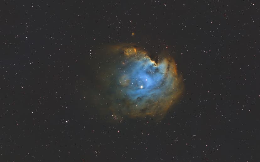 Image: monkey-head-nebula-sho