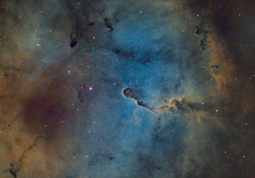 Image: trunk-nebula-sho