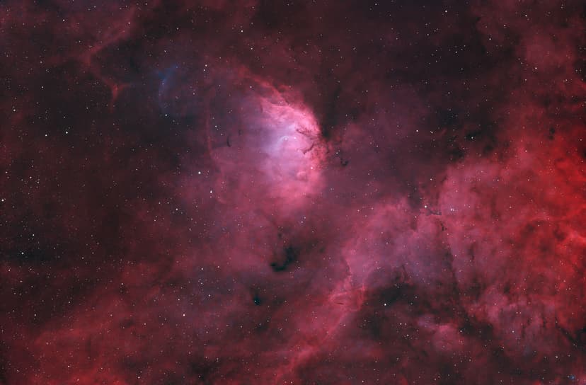 Image: tulip-nebula-ho