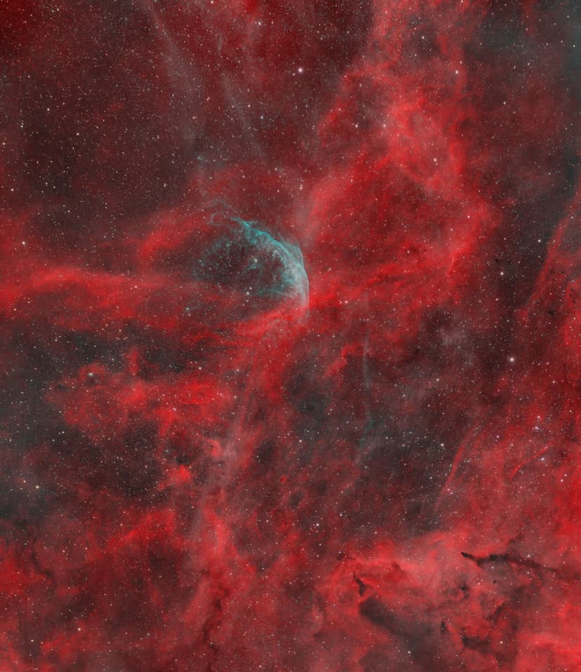 Image: wr134-ho