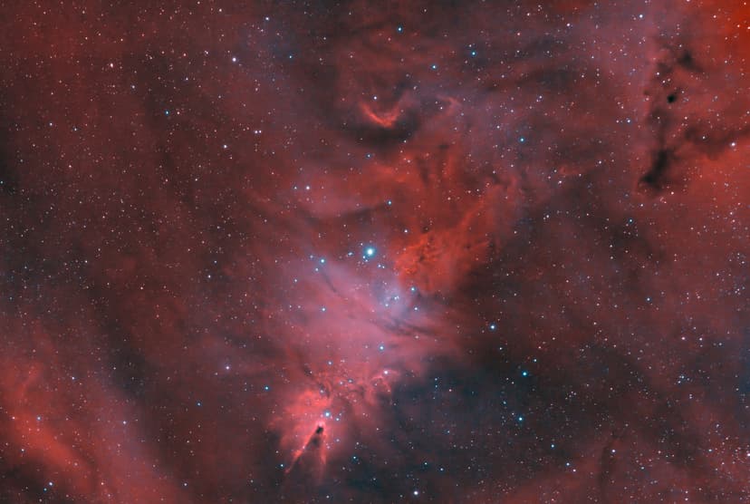 Image: xmas-nebula-ho